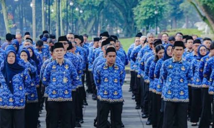 Jenis Pendapatan ASN 2026, PPPK Paruh Waktu Belum Jelas