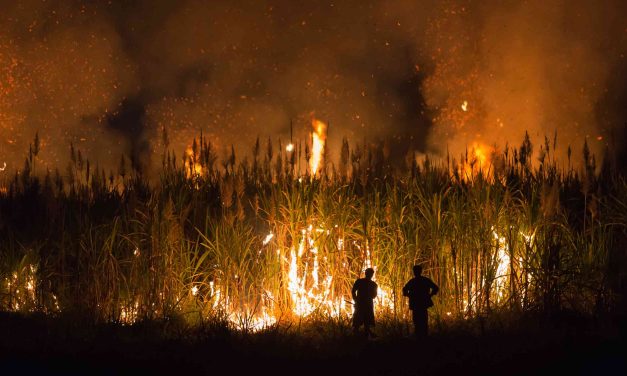 Thailand Tindak Tegas Petani Bakar Lahan Demi Atasi Polusi Kabut