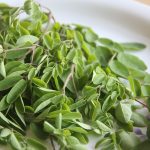 Daun Kelor Kering Organik Flores Timur Banjir Order Dari Jerman