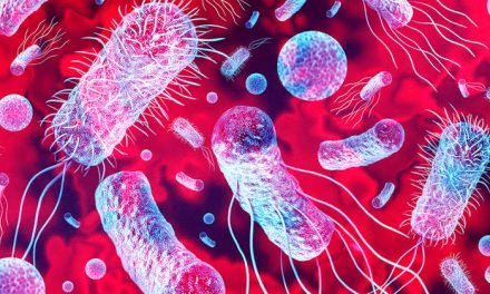 Ancaman Superbug: Peneliti Temukan Bakteri Kebal Obat Baru