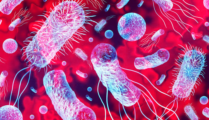 Ancaman Superbug: Peneliti Temukan Bakteri Kebal Obat Baru