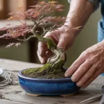 Memelihara Tanaman Hias Bonsai Mini Di Meja Untuk Atasi Stres